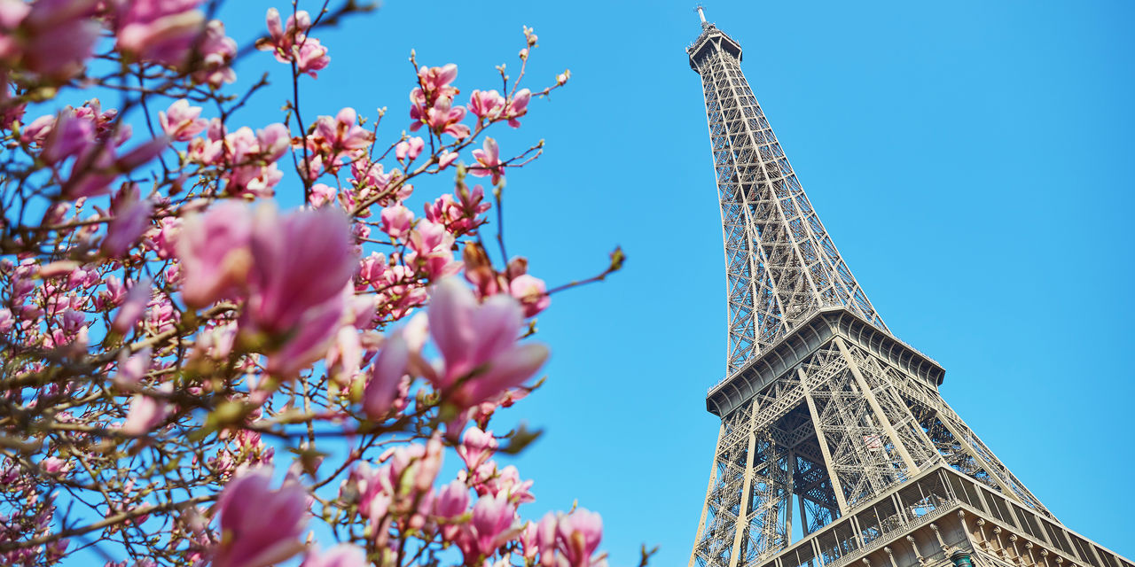 069DABBD-8C25-4A65-9A6988E805D1DD9A